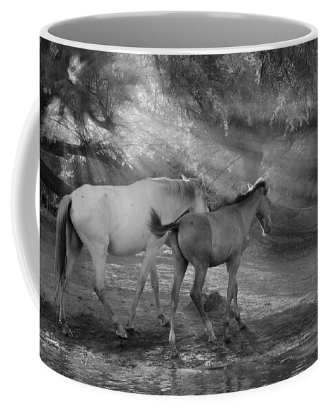 Stallion Coffee Mug featuring the photograph Into the Desert. by Paul Martin