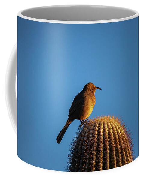 Arboretum Coffee Mug featuring the photograph Into the Sun by Rick Furmanek