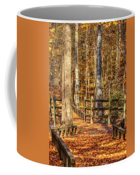 Autumn Coffee Mug featuring the photograph Into the woods in Autumn by Ron Grafe