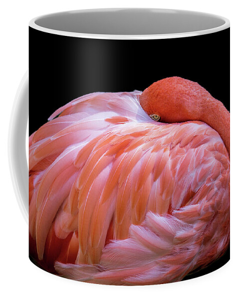 Flamingo Coffee Mug featuring the digital art Introvert by Nicole Wilde