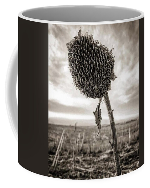 Iphonography Coffee Mug featuring the photograph iPhonography Sunflower 2 by Julie Powell