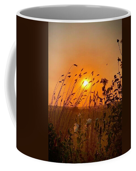 Iphonography Coffee Mug featuring the photograph IPhonography Sunset 2 by Julie Powell