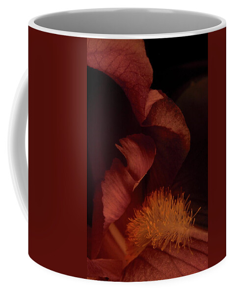 Flower Coffee Mug featuring the photograph Iris 0232 by Julie Powell
