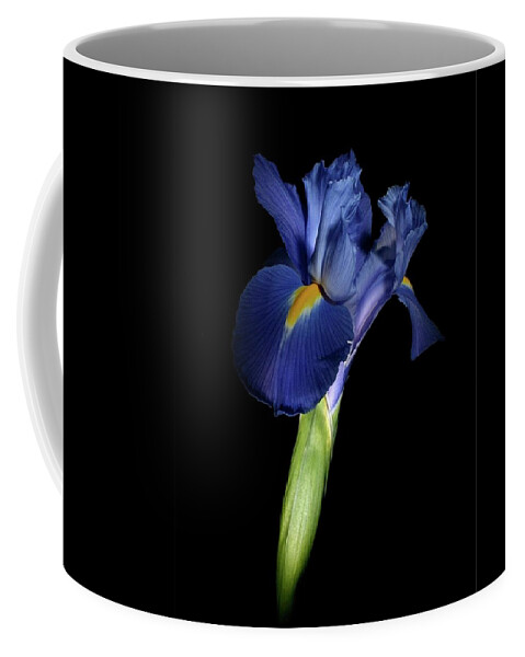 Macro Coffee Mug featuring the photograph Iris 041807 by Julie Powell