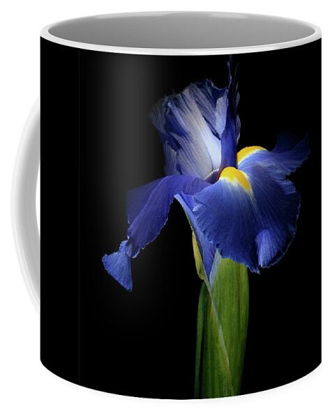Macro Coffee Mug featuring the photograph Iris 041907 by Julie Powell