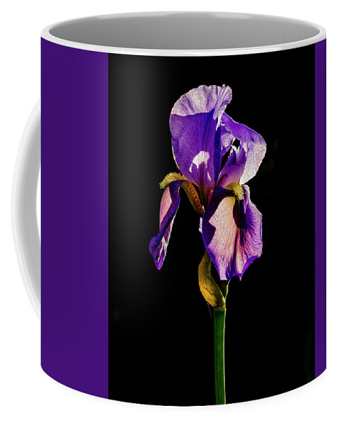 Iris Coffee Mug featuring the photograph Iris 2 by Pamela Taylor