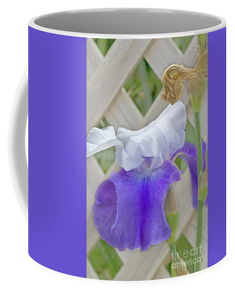 Iris Coffee Mug featuring the photograph Iris 3 by Elaine Teague