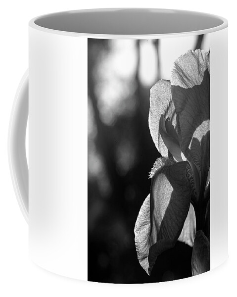 Iris Coffee Mug featuring the photograph Iris 3 by Pamela Taylor