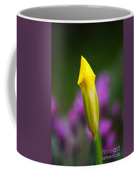 Iridaceae Coffee Mug featuring the photograph Iris Bud Yellow Hope by Joy Watson