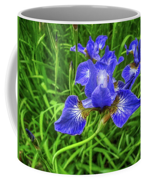 Iris Flowers Coffee Mug featuring the photograph Iris flowers by Tatiana Travelways