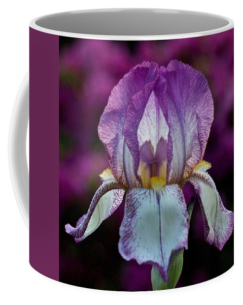 Iris Coffee Mug featuring the photograph Iris Pink by Richard Cummings