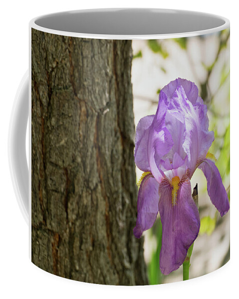 Flora Coffee Mug featuring the photograph Iris by Segura Shaw Photography