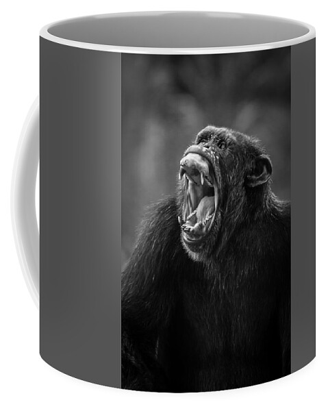 Chimp Coffee Mug featuring the photograph Is Anyone Listening by Bill Cubitt