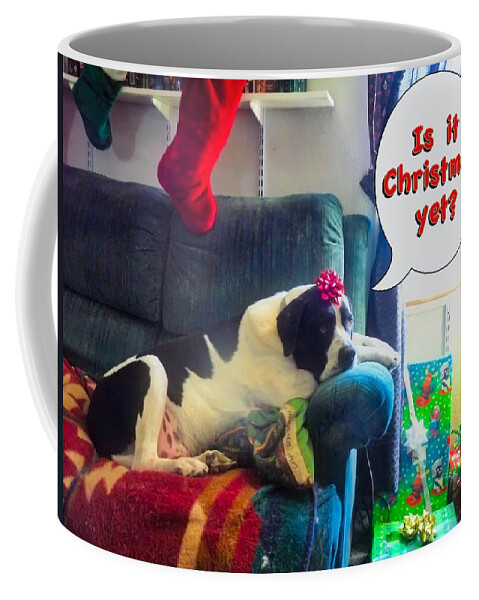 Adage Coffee Mug featuring the photograph Is it Christmas yet? by Judy Kennedy