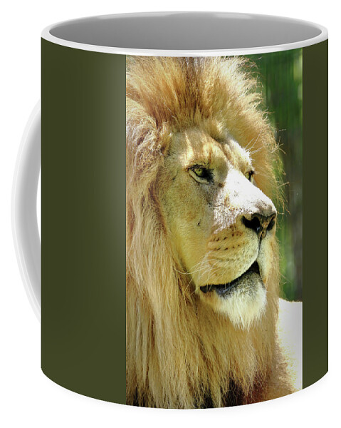 Lion Coffee Mug featuring the photograph Is This My Good Side by Lens Art Photography By Larry Trager