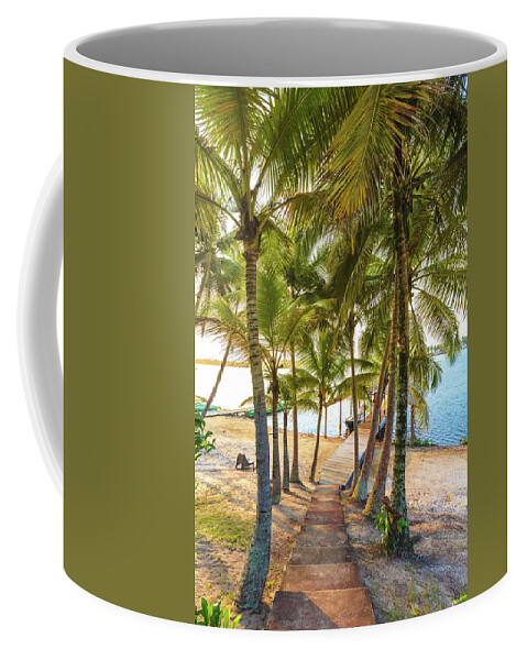 Dock Coffee Mug featuring the photograph Island Dock Under Palms by Debra and Dave Vanderlaan