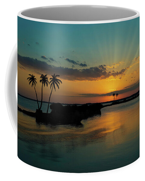 Composite Coffee Mug featuring the photograph Islands in the Stream by Randall Allen