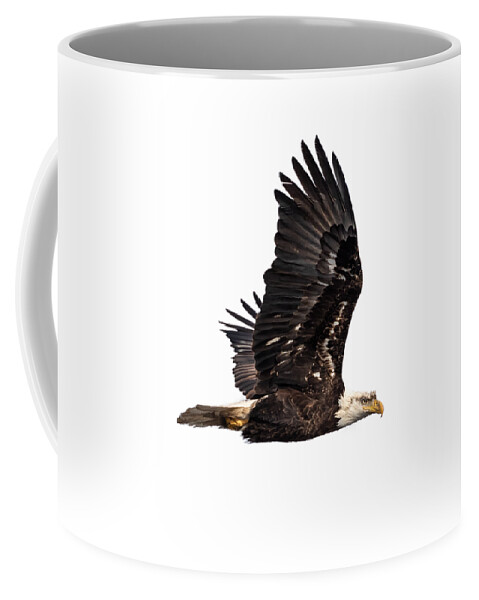 American Bald Eagle Coffee Mug featuring the photograph Isolated Bald Eagle 2019-3A by Thomas Young