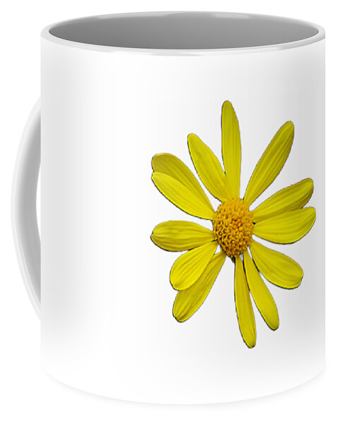 Isolated Coffee Mug featuring the photograph Isolated Yellow Daisy Cutout by Debra Martz