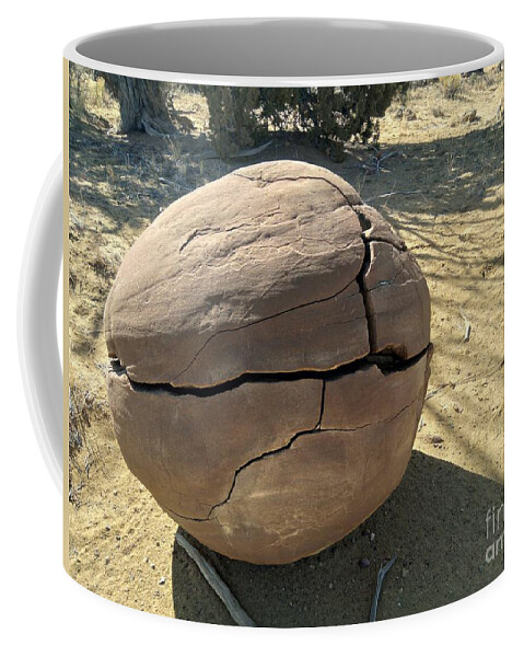 Rocks Coffee Mug featuring the photograph It's Finally Hatching by Doug Miller