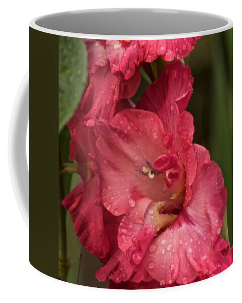 Gladiola Coffee Mug featuring the photograph It's Raining by Richard Cummings