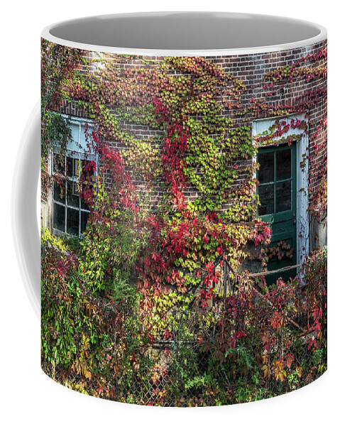 Governors Island Coffee Mug featuring the photograph Ivy Facade by Cate Franklyn