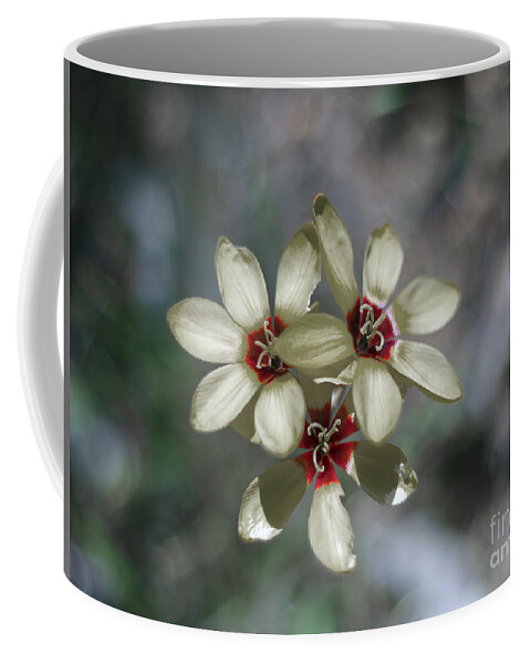 White Coffee Mug featuring the photograph Ixia Maculata - Spotted African Corn Lily by Elaine Teague