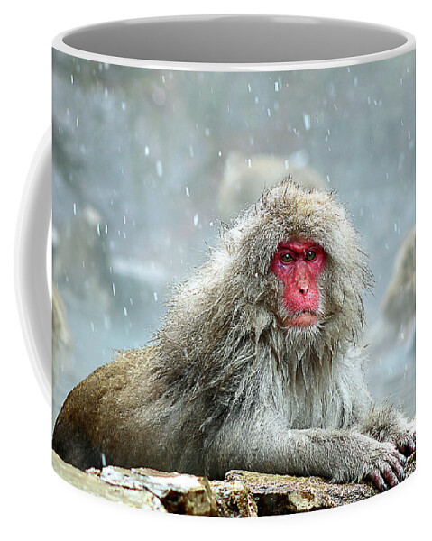 Coffee Mug featuring the photograph Japan 48 by Eric Pengelly