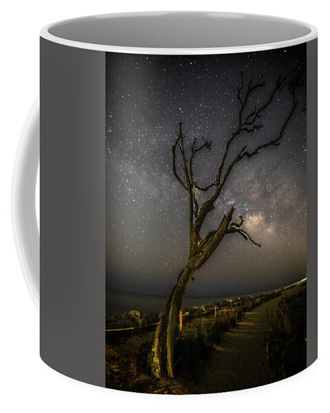 Jekyll Island Coffee Mug featuring the photograph Jekyll Island Night Sky by Nick Noble