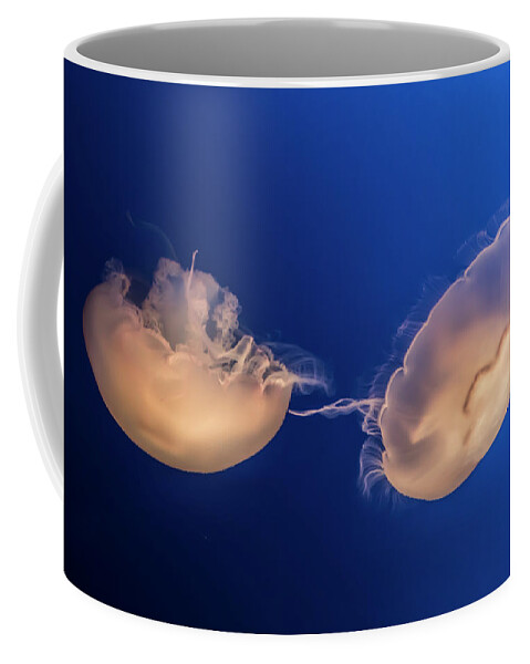 Color Coffee Mug featuring the photograph Jellyfish by Gary Geddes