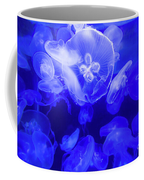 Jelly Coffee Mug featuring the photograph Jellyfish in the Water by Beachtown Views