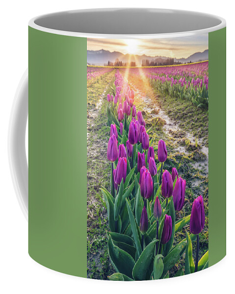 Tulips Coffee Mug featuring the photograph Jewel Tone Tulips by Michael Rauwolf
