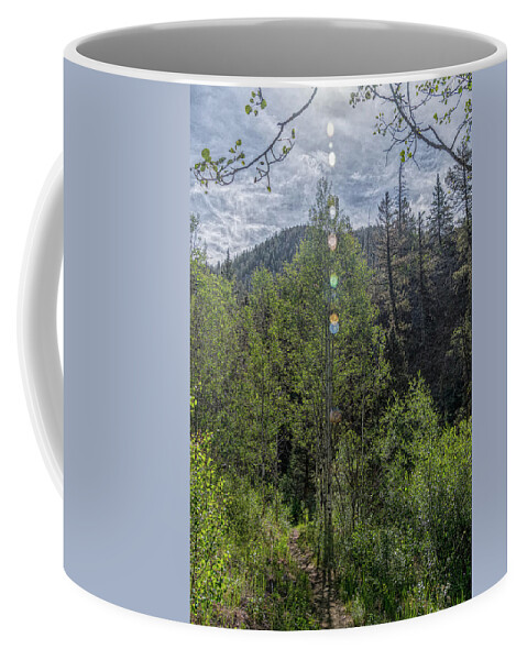 Carson National Forest Coffee Mug featuring the photograph Jewels From the Sun by Debra Martz
