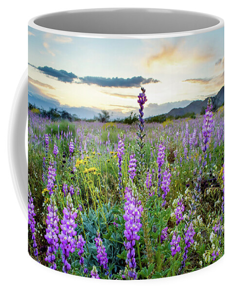 Grape Soda Lupine Coffee Mug featuring the photograph Joshua Tree Sunset Wildflowers by Kyle Hanson