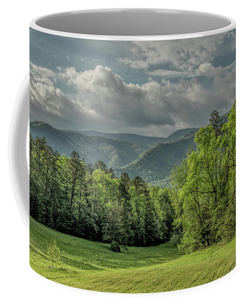  Coffee Mug featuring the photograph Jubilance of Spring, Great Smoky Mountains National Park by Marcy Wielfaert