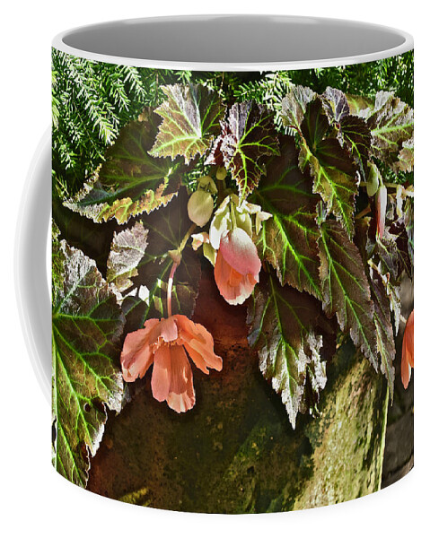 Begonia Coffee Mug featuring the photograph July Garden Visit Orange Begonia by Janis Senungetuk