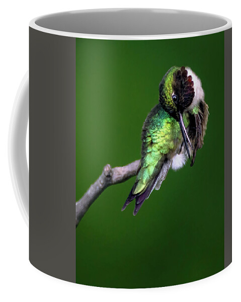 Bird Coffee Mug featuring the photograph June Grooming by Art Cole