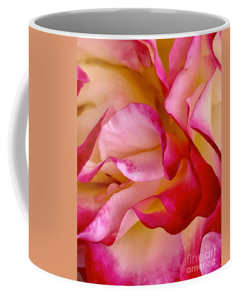 June Coffee Mug featuring the photograph June Rose 1 by Suzanne Lorenz