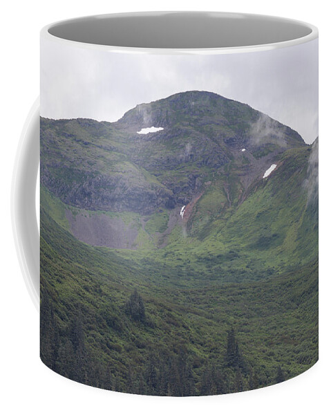 Alaska Coffee Mug featuring the photograph Juneau Elevated Greenery by Ed Williams