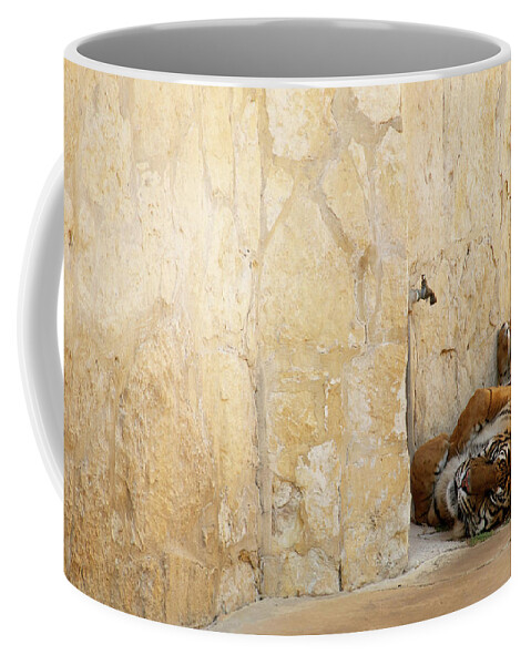 Tiger Coffee Mug featuring the photograph Just Chillin' by Melissa Southern