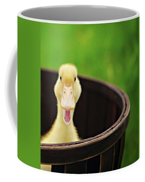 Yellow Coffee Mug featuring the photograph Just Ducky by Carrie Ann Grippo-Pike