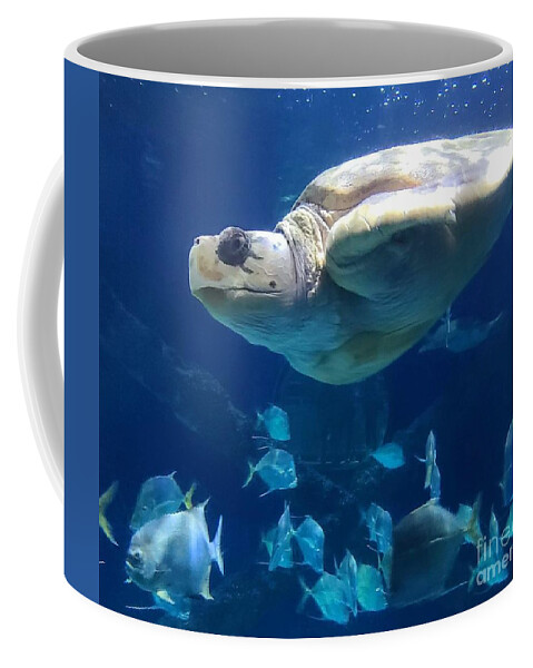 Sea Coffee Mug featuring the pyrography Just keep swimming by Elena Pratt