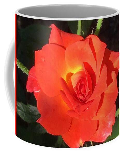 Rose Coffee Mug featuring the photograph Just Orange Bright Rose by Catherine Wilson