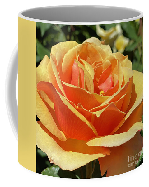 Peach Coffee Mug featuring the photograph Just Peachy 2 by Wendy Golden