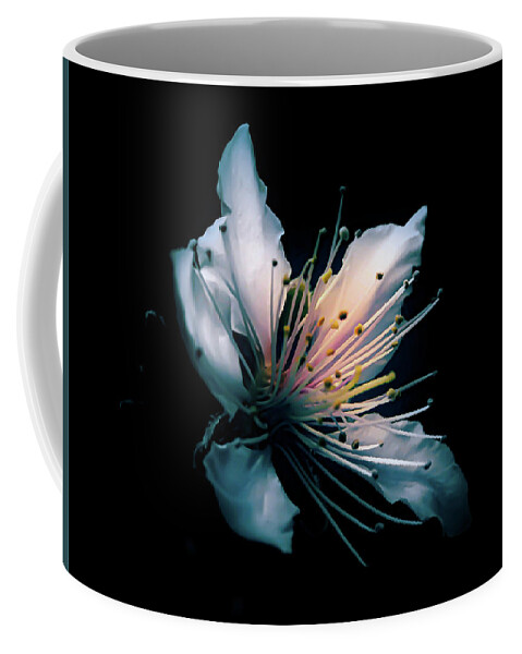  Coffee Mug featuring the photograph Just Peachy by Gena Herro