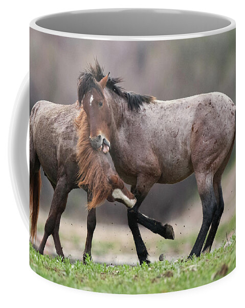 Battle Coffee Mug featuring the photograph Just Playing by Shannon Hastings