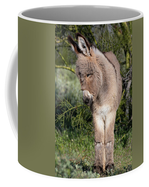 Wild Burros Coffee Mug featuring the photograph Just too Sweet by Mary Hone