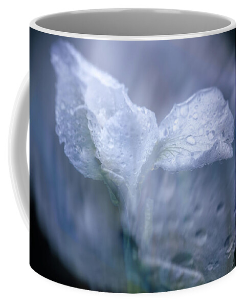 Iris Coffee Mug featuring the photograph Just When I Thought I Would Never Think of You by Cynthia Dickinson