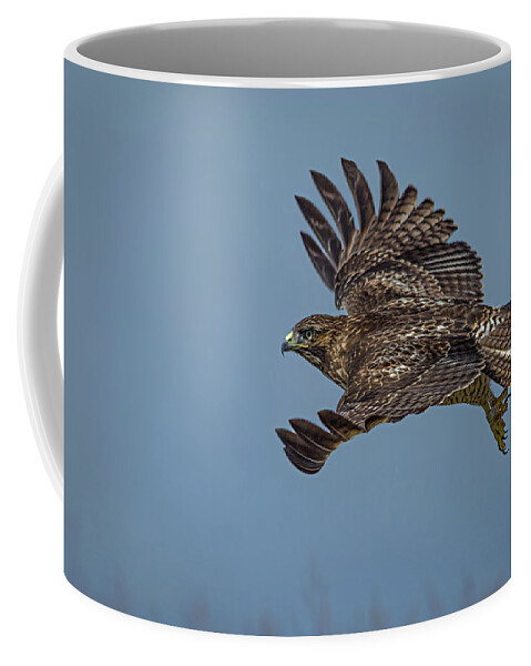 Red Tailed Hawk Coffee Mug featuring the photograph Juvenile Red-tailed Hawk by Linda Villers
