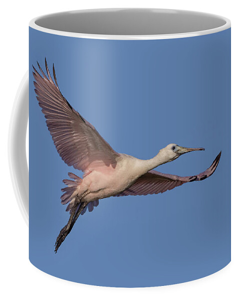 Spoonbill Coffee Mug featuring the photograph Juvenile Roseate Spoonbill by Susan Candelario